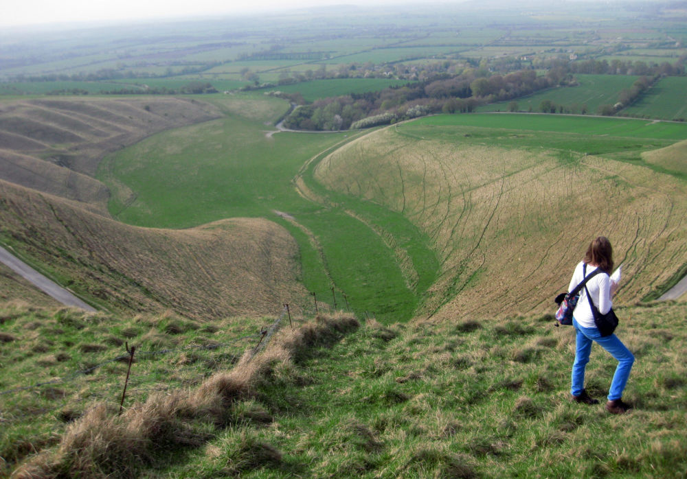 �z���C�g�z�[�X�E�q��