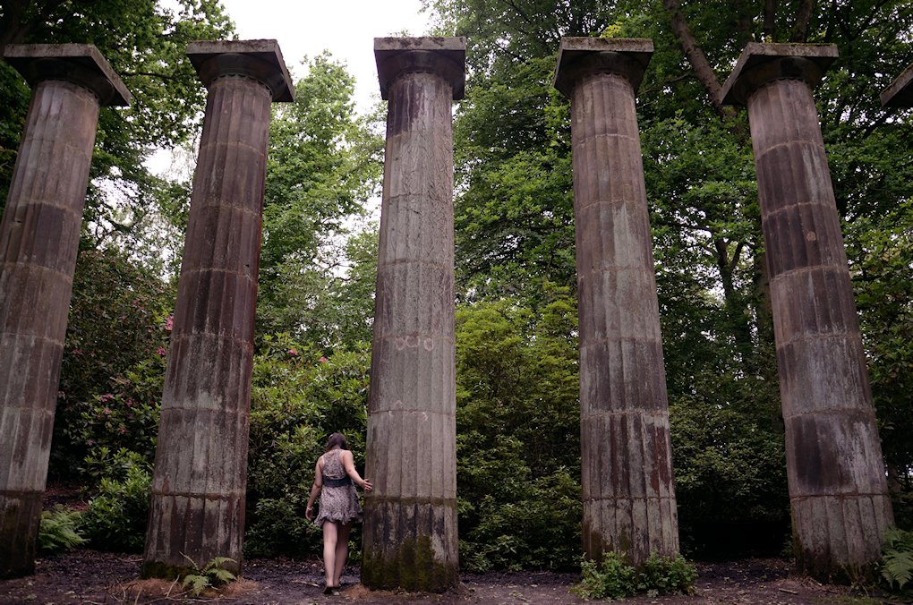 �m�[�X���[�N�V���[�@�n�[���E�J�[�E�K�[�f��