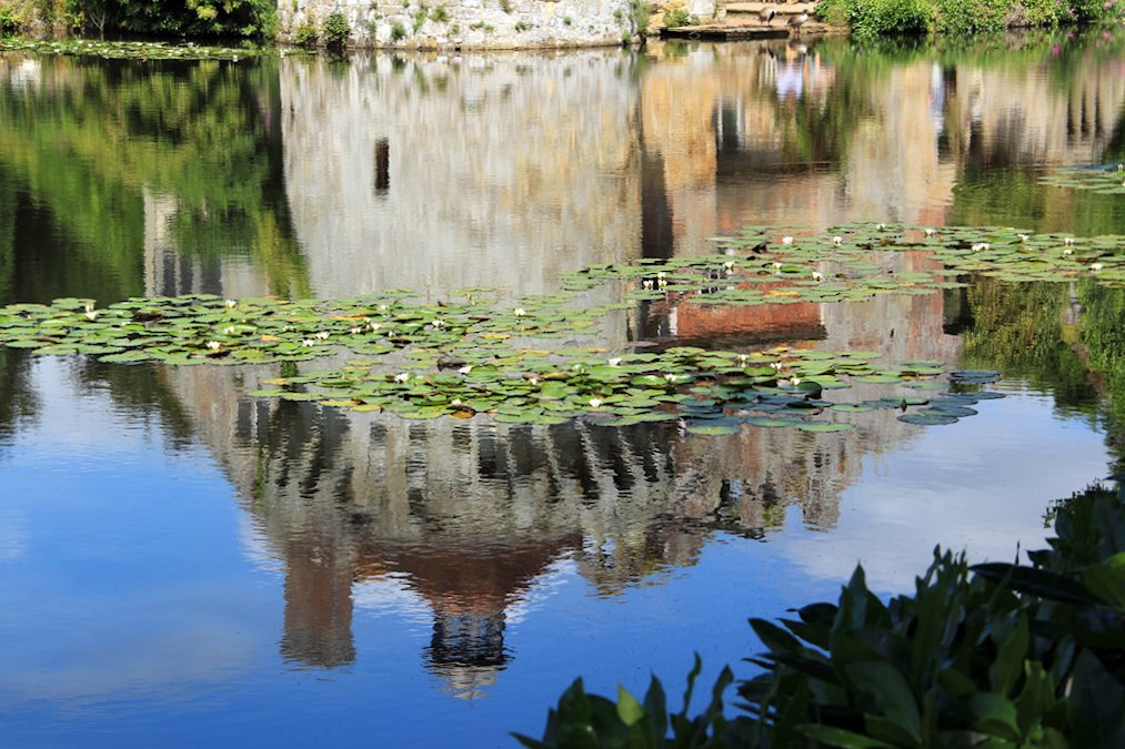 �X�R�b�g�j�[�E�J�[�X��