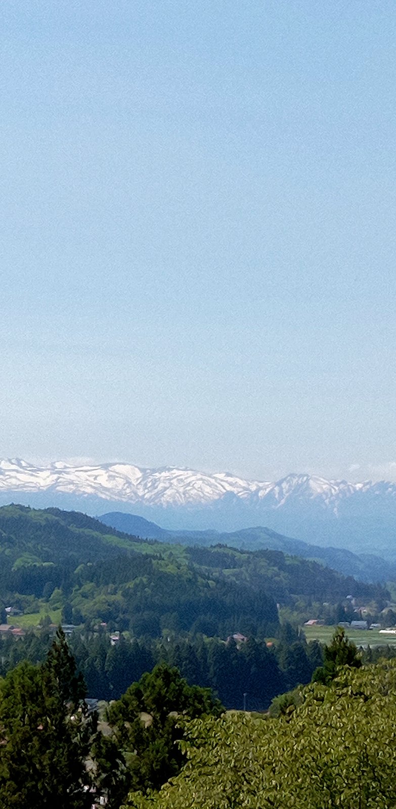 ���񂴂������̂��ޕ��i