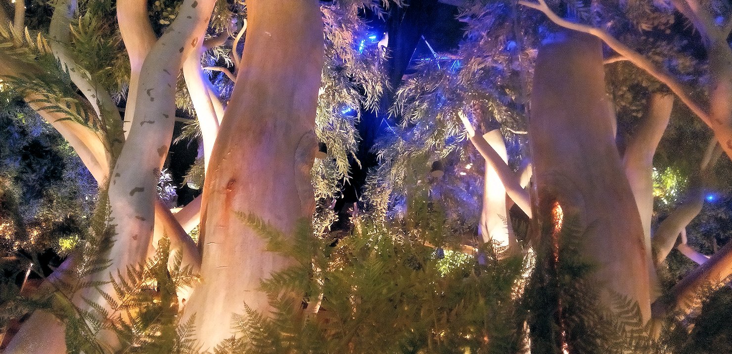 �I�[�X�g�����A�@���[�J���̖؁@��������ƍ����V�O���[�g�����z���܂�