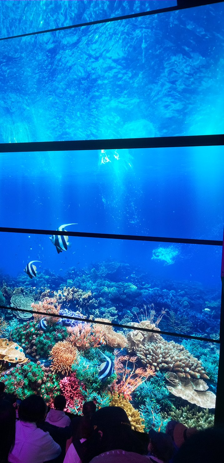 �I�[�X�g�����A