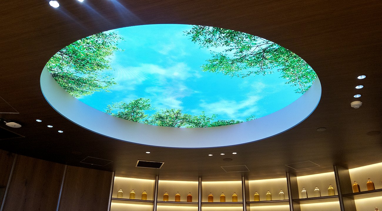 �V���P���@�T���g���[�o�c�̃��X�g�����u����v�@�I�ɒu���ꂽ�����c�r